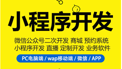 制作小程序，不知道小程序分類，小程序制作很難